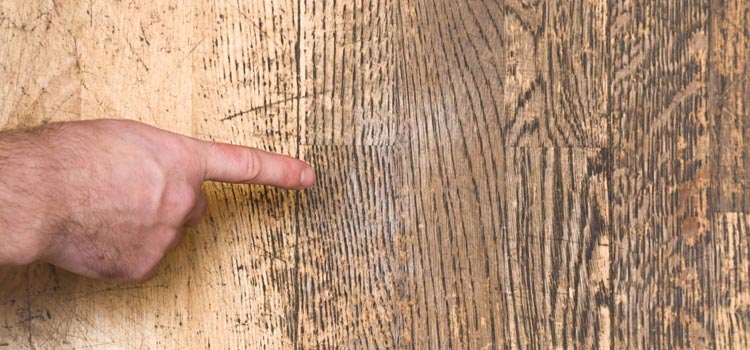 Wood Door Scratch Repair in Belle Glade